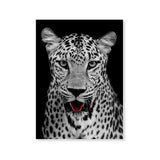 Póster retrato leopardo
