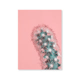 Póster cactus en flor