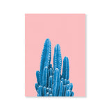 Póster cactus azul con fondo rosa