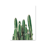 Póster cactus verde