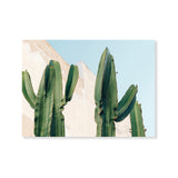 Póster cactus
