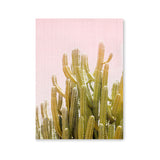 Póster cactus fondo rosa