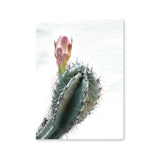 Póster cactus floreciendo