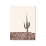 Póster cactus en el desierto de arizona
