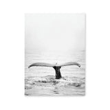 Póster ballena blanco y negro