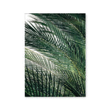 Póster hojas de palmera