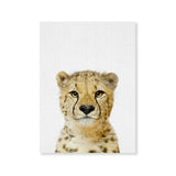 Póster gepardo color