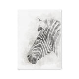 Póster ilustración zebra