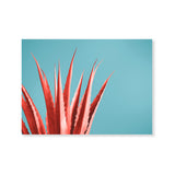 Póster aloe color coral