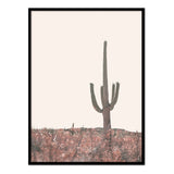 Póster cactus en el desierto de arizona
