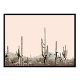 Póster desierto de arizona
