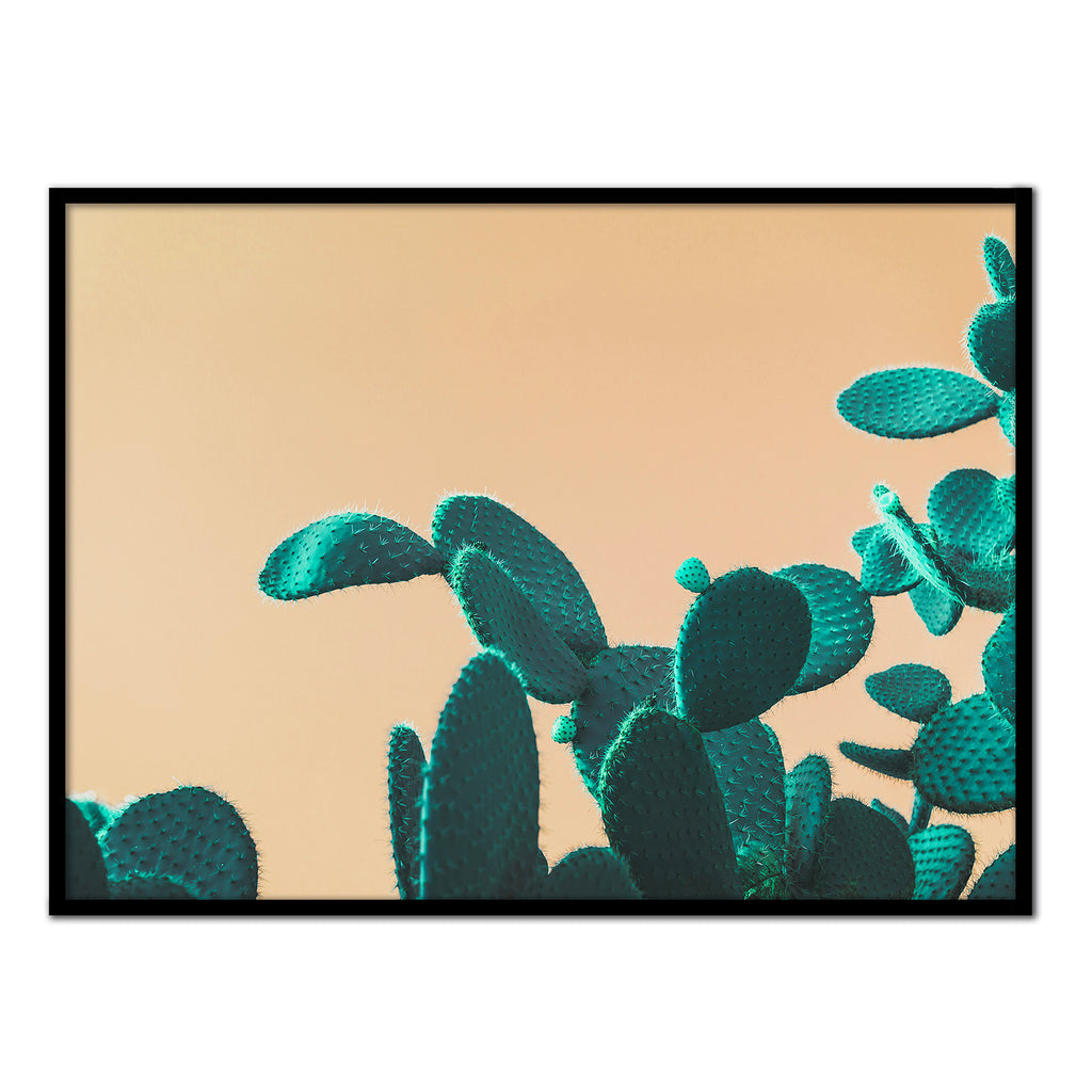 Póster cactus nopal