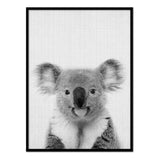 Póster koala blanco y negro