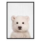 Póster oso polar color