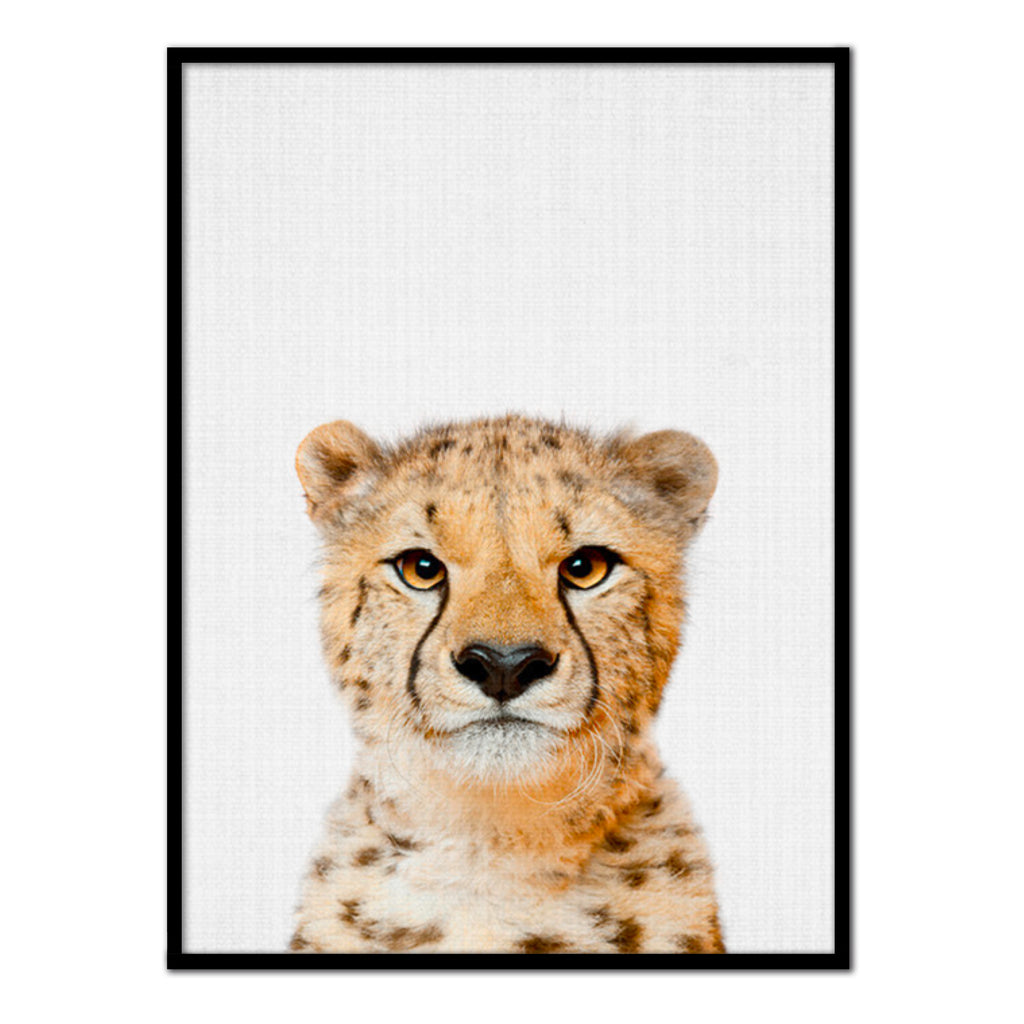 Póster gepardo color