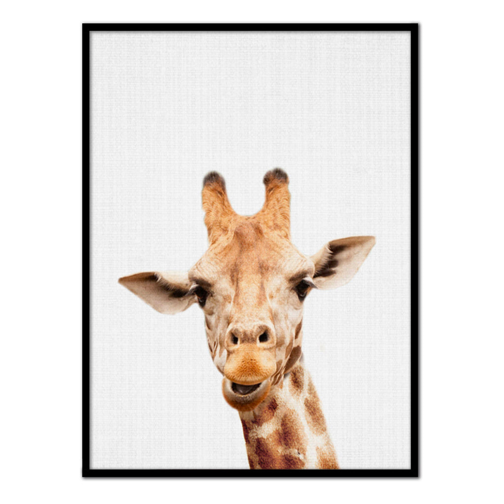 Póster jirafa color