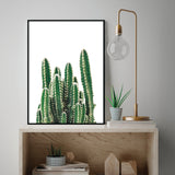 Póster cactus verde