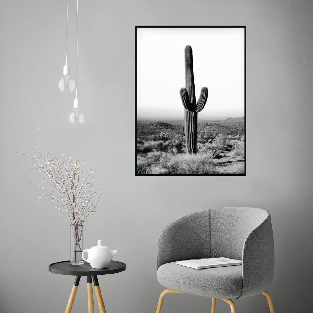 Póster cactus alto