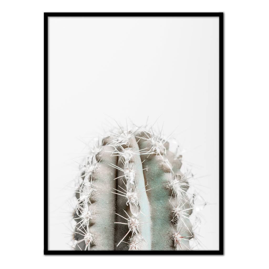 Póster cactus en el desierto