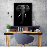 Póster retrato elefante