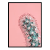 Póster cactus en flor