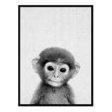 Comprar póster mono blanco y negro online