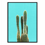 Póster cactus fondo azul
