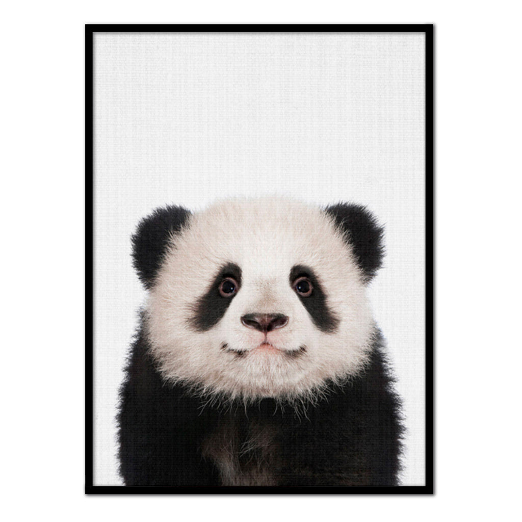 Póster oso panda color