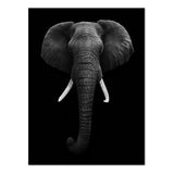 Póster retrato elefante