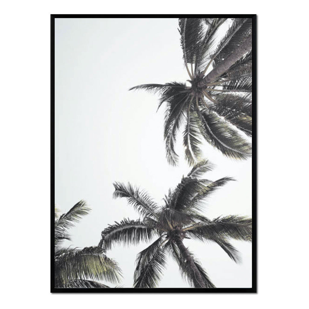 Póster palmeras