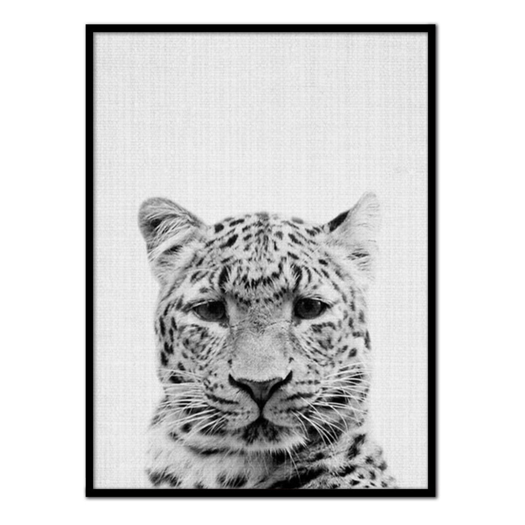 Póster gepardo blanco y negro