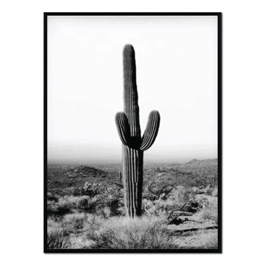 Póster cactus alto