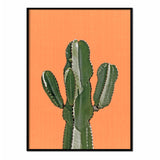Póster cactus fondo naranja