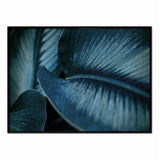 Póster detalle hojas azules