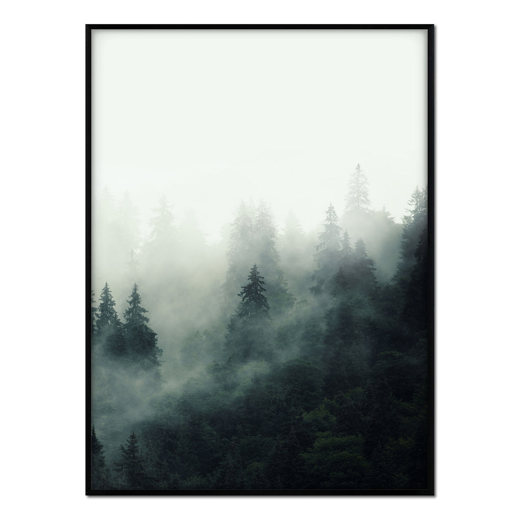 Póster bosque con niebla
