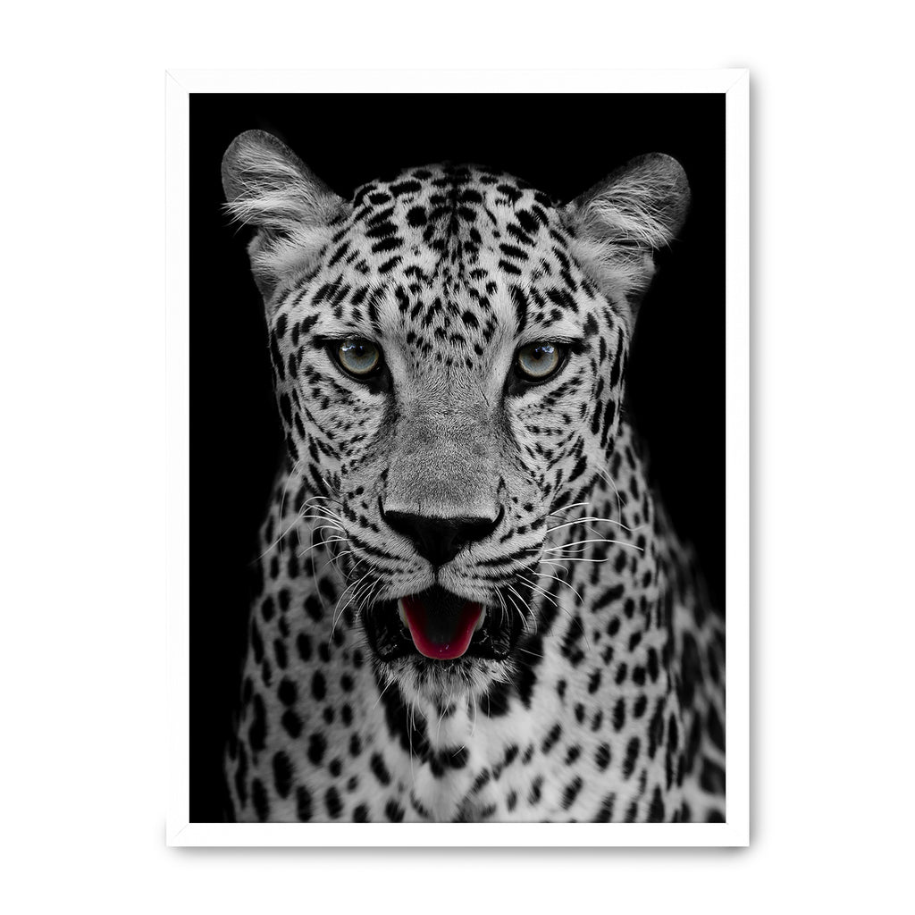 Retrato Leopardo - Póster 30x40 con Marco Blanco
