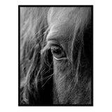 Ojo de caballo en blanco y negro - Póster 50x70 con Marco Negro