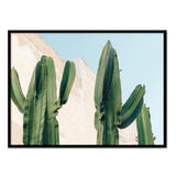 Cactus - Póster 40x50 con Marco Negro