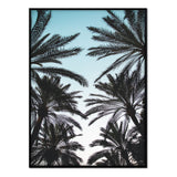 Póster paisaje de palmeras