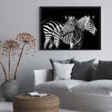 Póster zebras