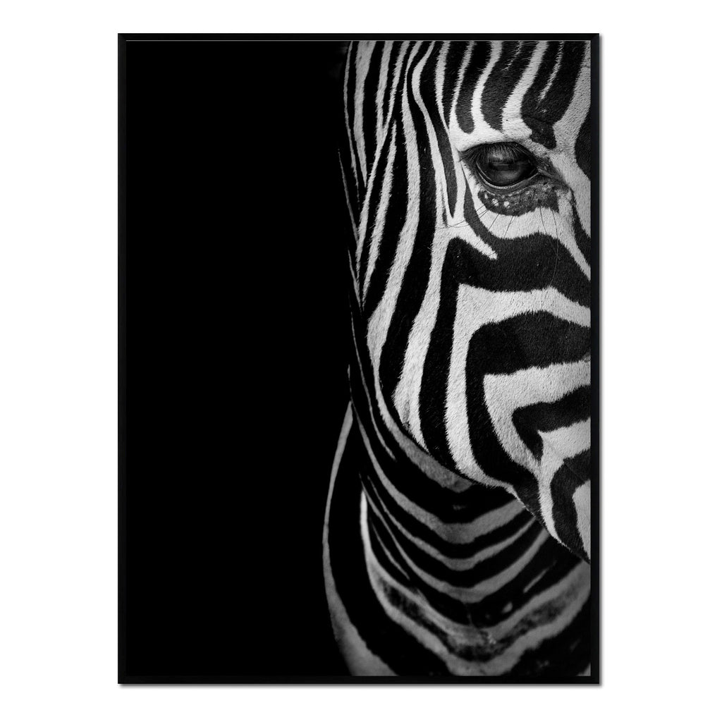 Póster zebra
