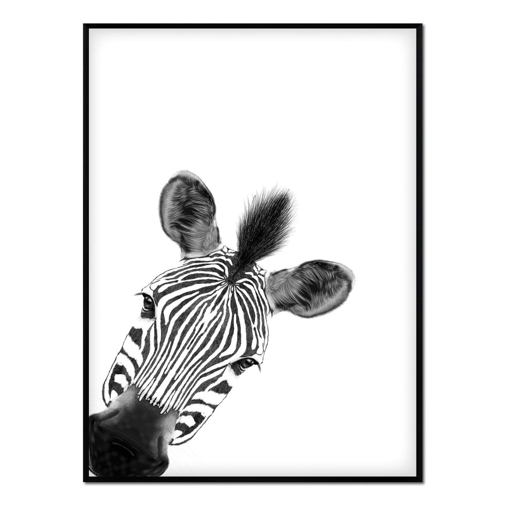 Póster retrato zebra